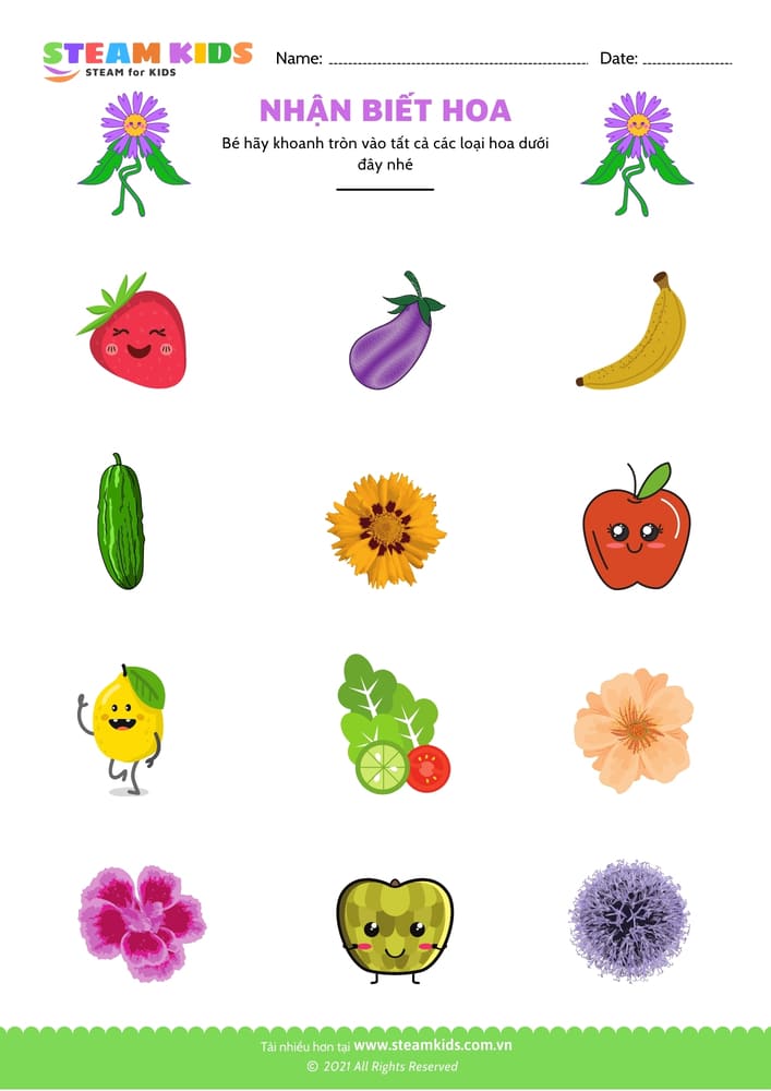 Bài tập khoa học - Nhận biết hoa - B4