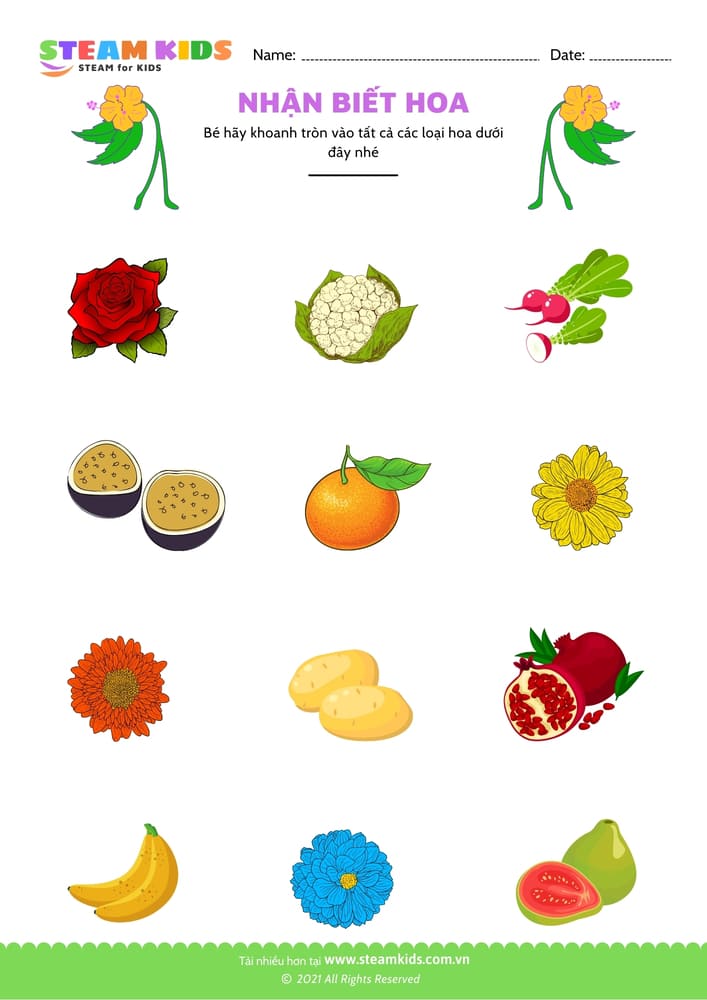 Bài tập khoa học - Nhận biết hoa - B5