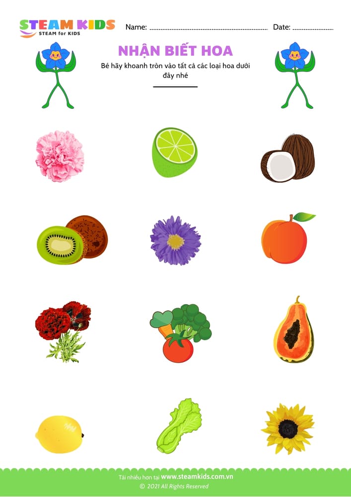 Bài tập khoa học - Nhận biết hoa - B6