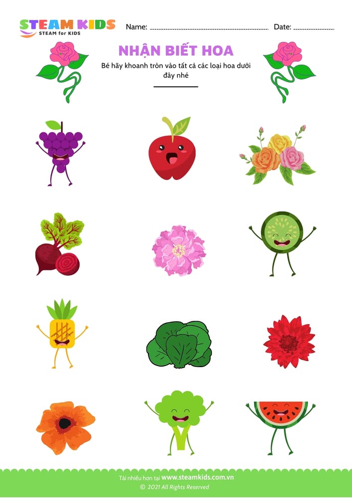Bài tập khoa học - Nhận biết hoa - B7