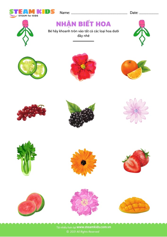 Bài tập khoa học - Nhận biết hoa - B8