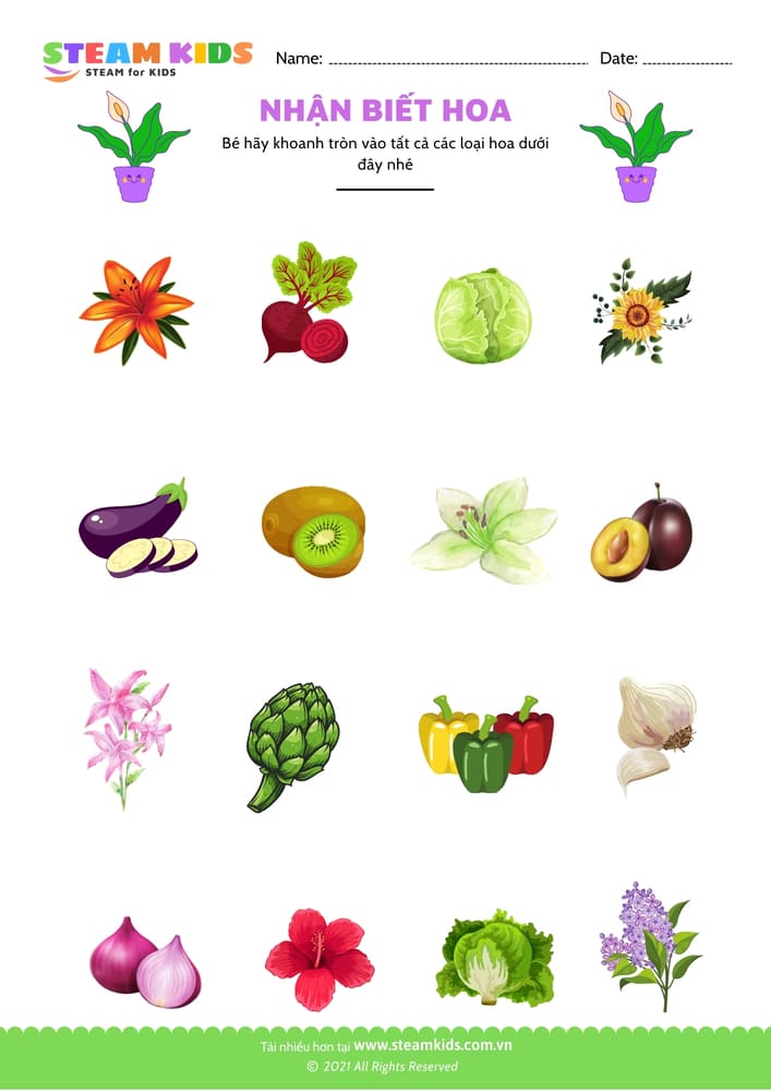 Bài tập khoa học - Nhận biết hoa - B12