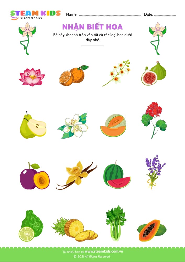 Bài tập khoa học - Nhận biết hoa - B13
