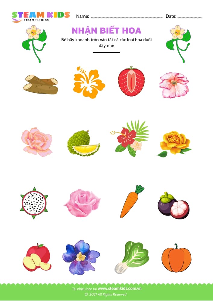 Bài tập khoa học - Nhận biết hoa - B15