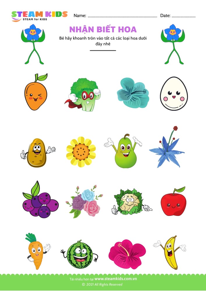 Bài tập khoa học - Nhận biết hoa - B16