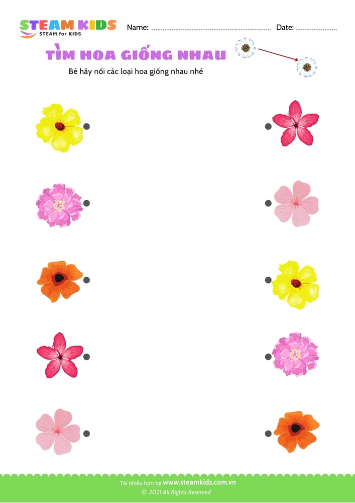 Bài tập khoa học - Tìm hoa giống nhau - B2