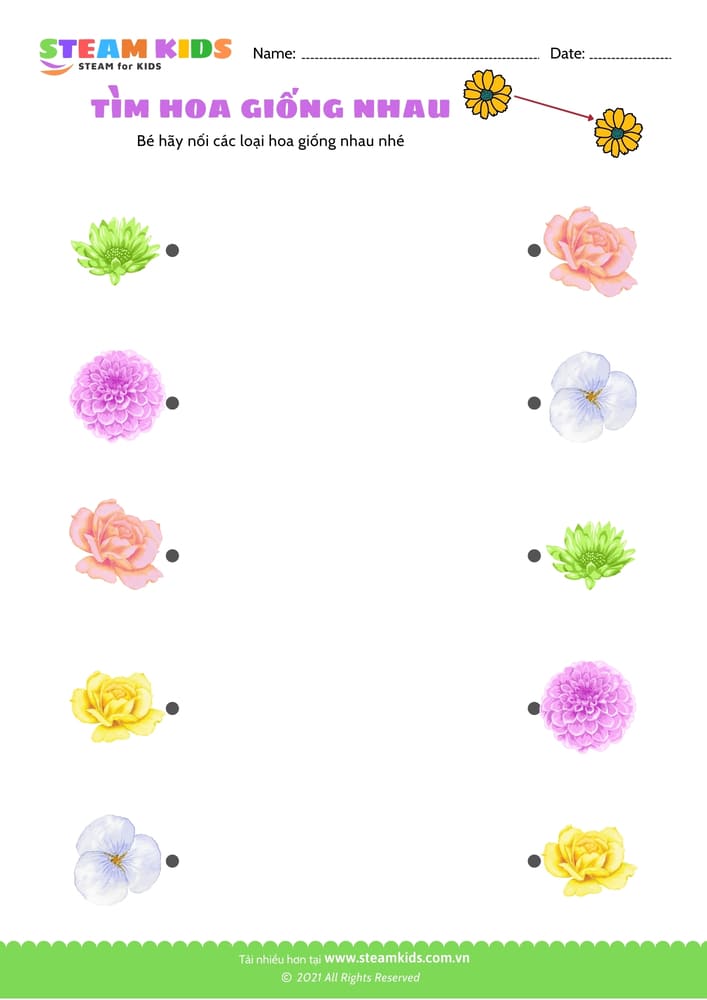 Bài tập khoa học - Tìm hoa giống nhau - B4