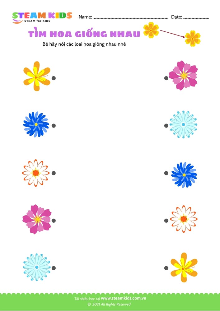Bài tập khoa học - Tìm hoa giống nhau - B7