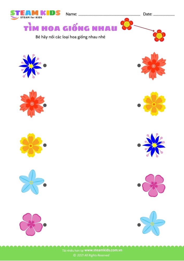 Bài tập khoa học - Tìm hoa giống nhau - B8