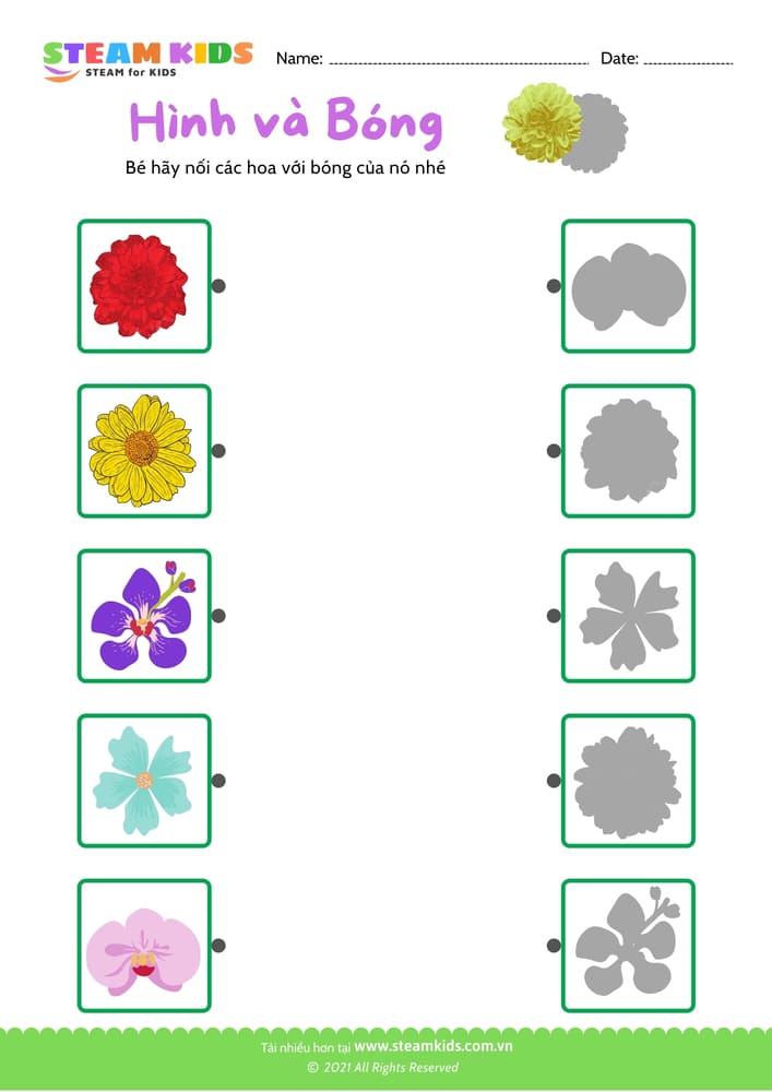 Bài tập khoa học - Nhận dạng hoa - B4