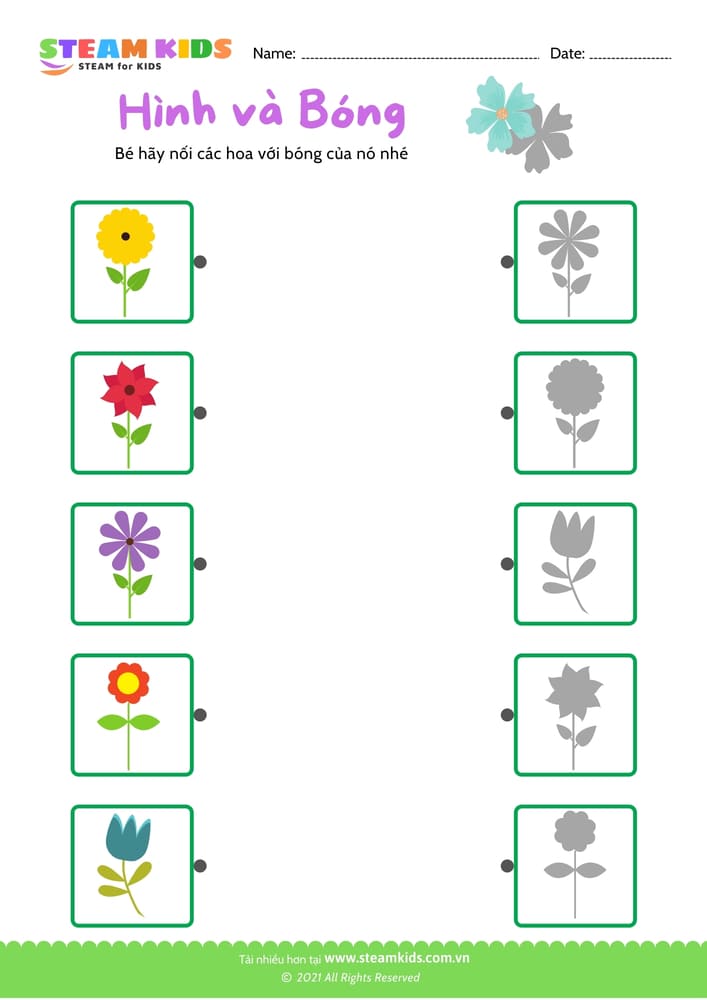 Bài tập khoa học - Nhận dạng hoa - B5