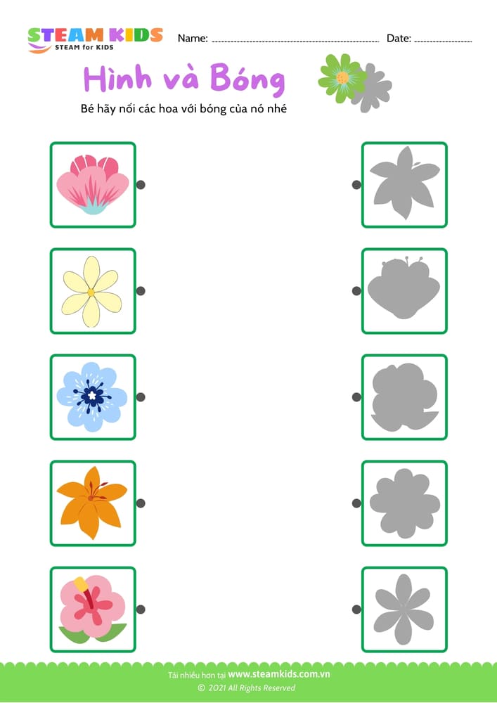 Bài tập khoa học - Nhận dạng hoa - B7