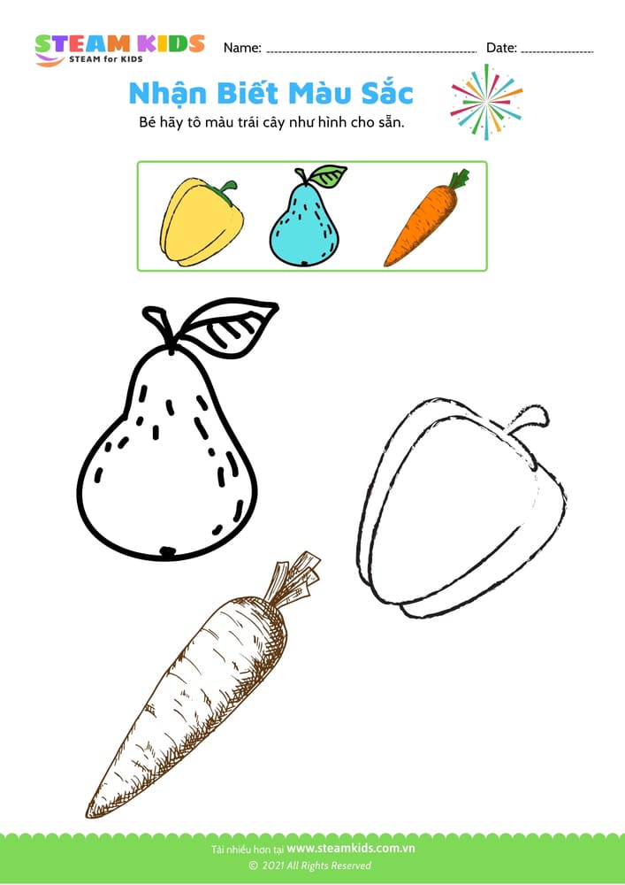 Bài tập khoa học - Tô màu theo mẫu - B3