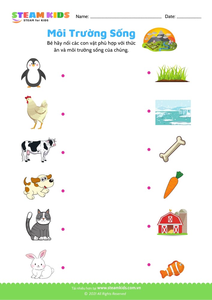 Bài tập khoa học - Matching - B25