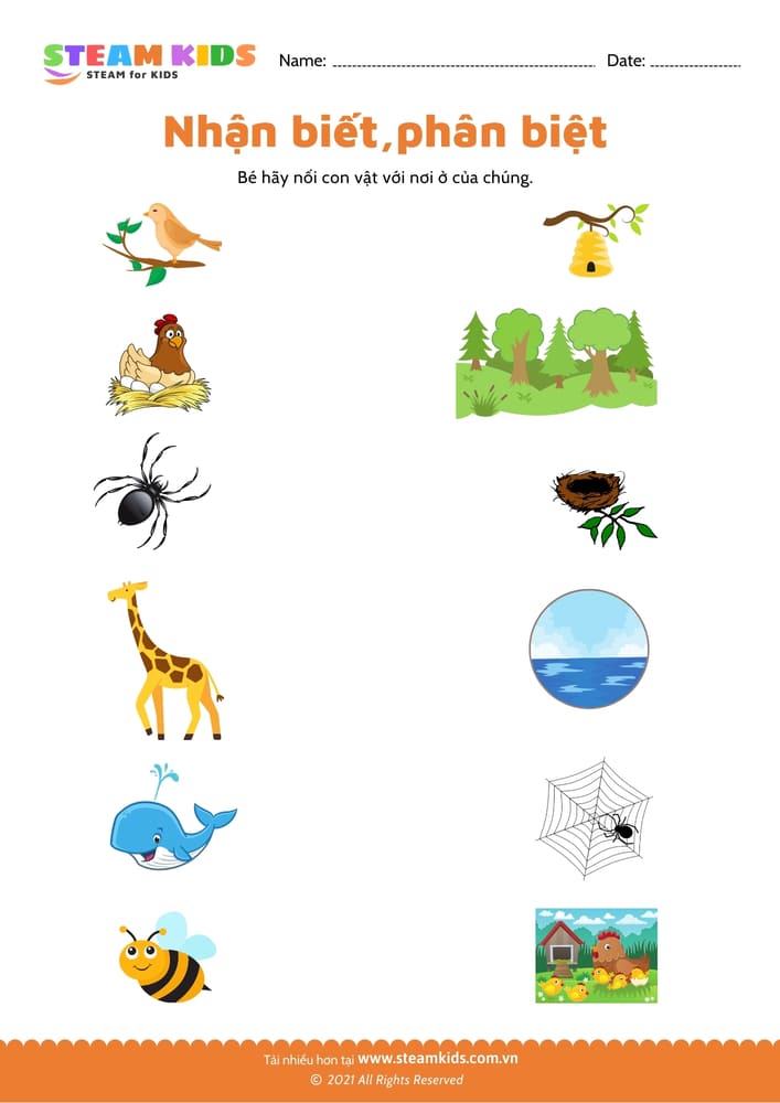 Bài tập khoa học - Nhận biết phân biệt - B2