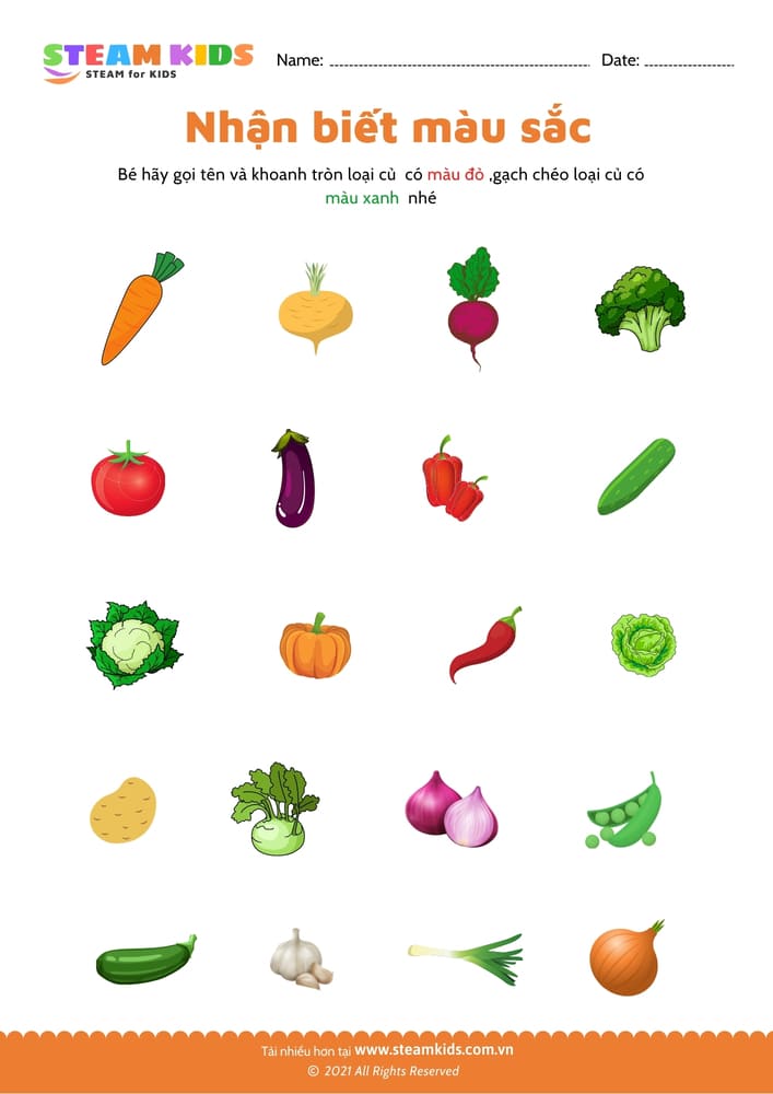 Bài tập khoa học - Nhận biết màu sắc - B24