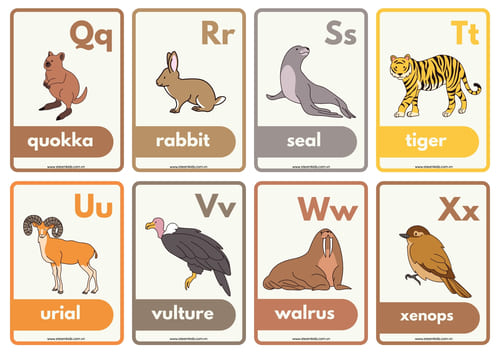 Học liệu Flashcard - Alphabet Flashcards - Animals (26 card) - STEAM KIDS