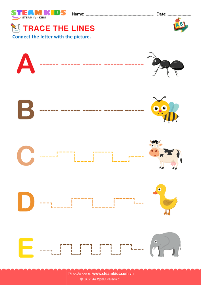 Bài tập tiếng anh - Trace the Lines - B6