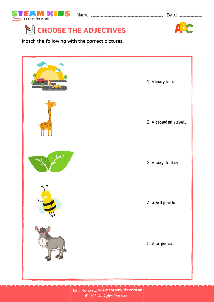 Bài tập tiếng anh - Choose adjectives - B15