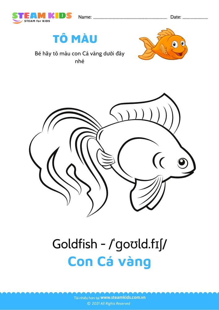 Tô màu Con Hải cẩu