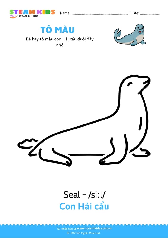Tô màu Con Hải cẩu