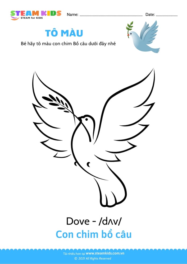 Tô màu Con vẹt Tô màu động vật Các loài chim