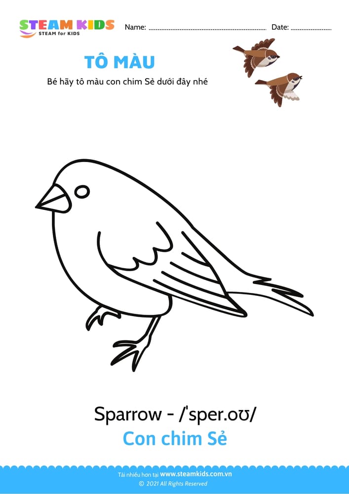 Tô màu Con vẹt Tô màu động vật Các loài chim