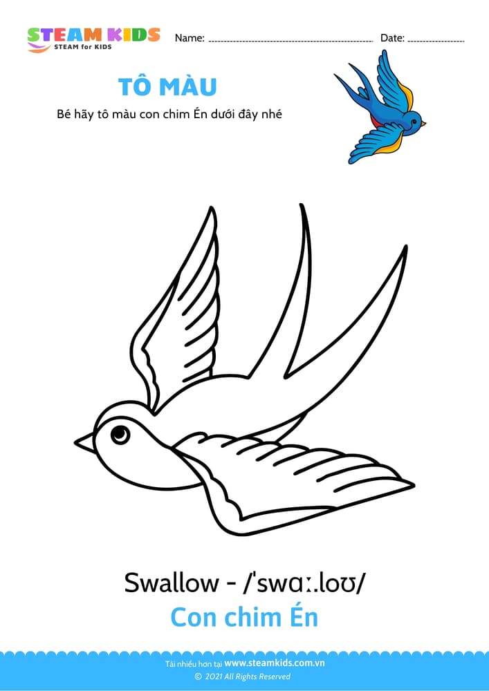 Tô màu Con vẹt Tô màu động vật Các loài chim