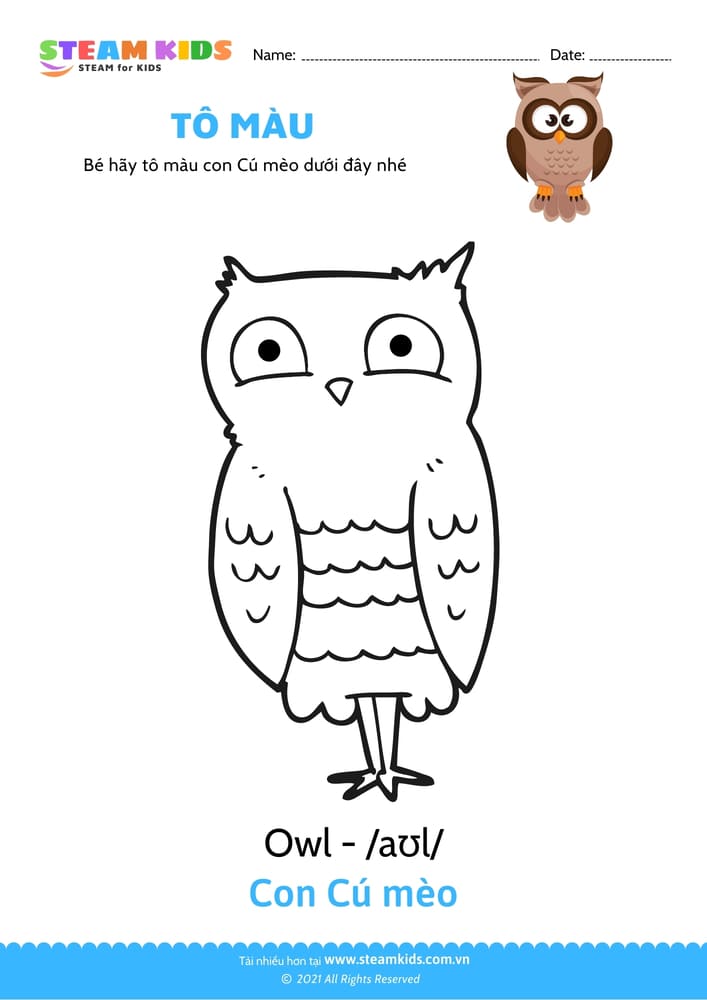 Tô màu Con vẹt Tô màu động vật Các loài chim