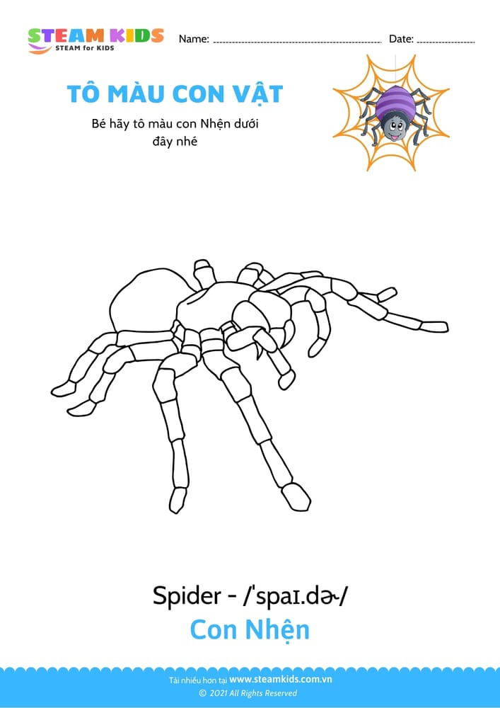 Tô màu con Tôm hùm