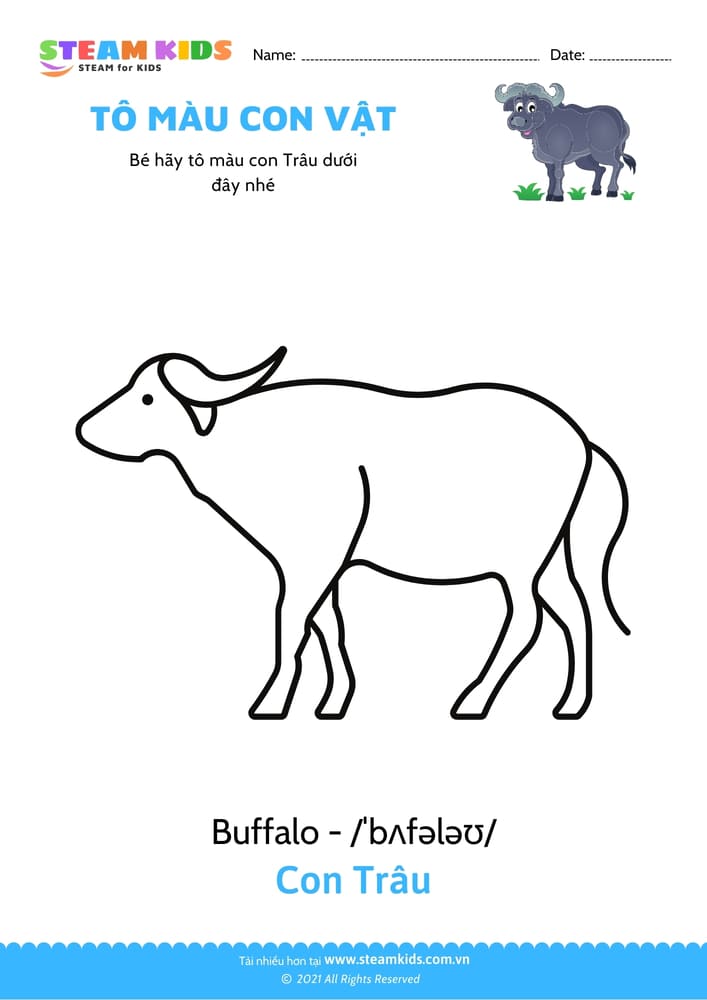 Tô màu con Tôm hùm