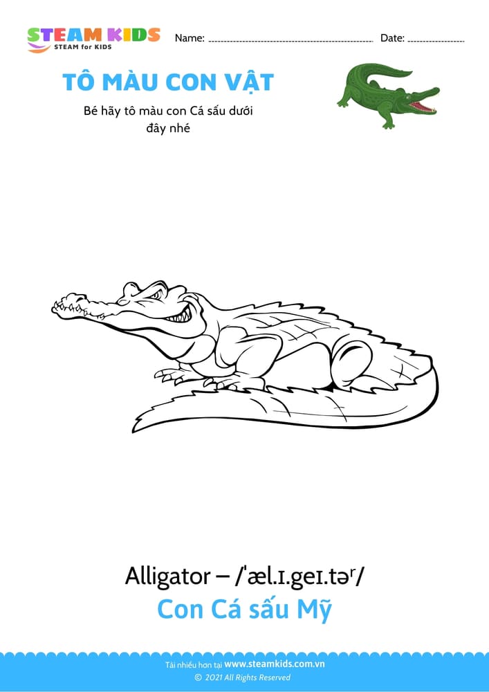 Tô màu con Tôm hùm