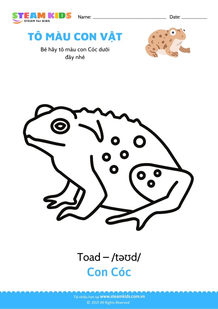 Tô màu con Tôm hùm