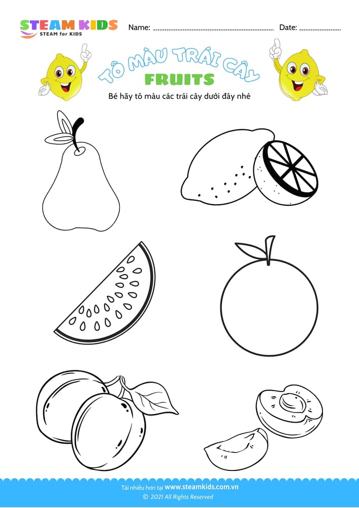 Tô màu trái cây - B14