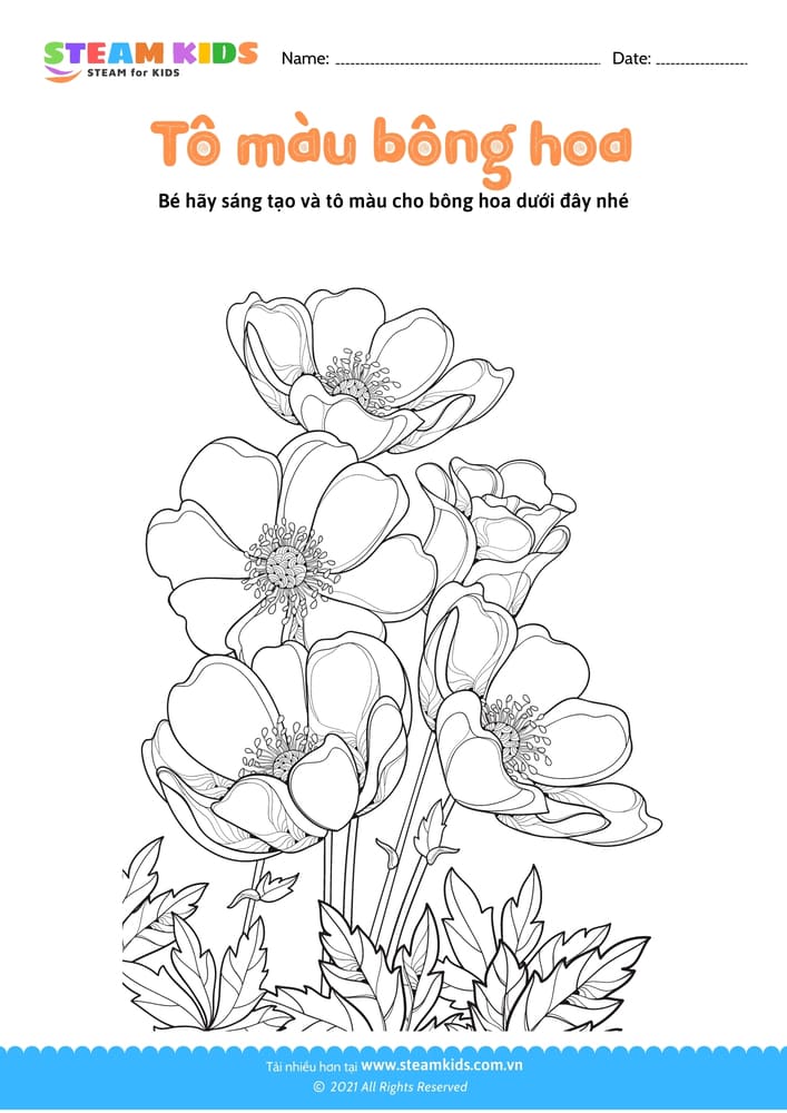 Tô màu bông hoa - B5 Tô màu theo chủ đề Hoa