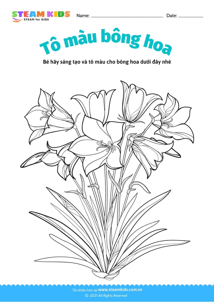 Tô màu khủng long - B4