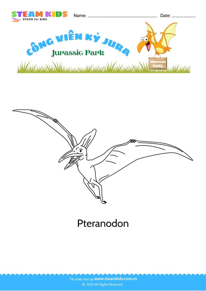 Tô màu động vật - B7