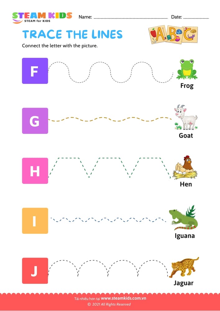 Trace the Lines - B10