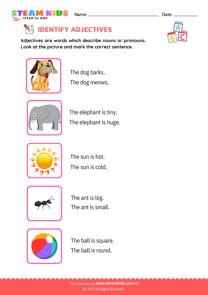 Circle the adjectives - B1