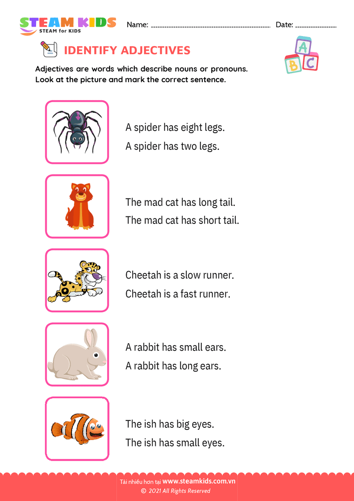 Identify Adjectives - B5 Identify Adjectives Lớp 1