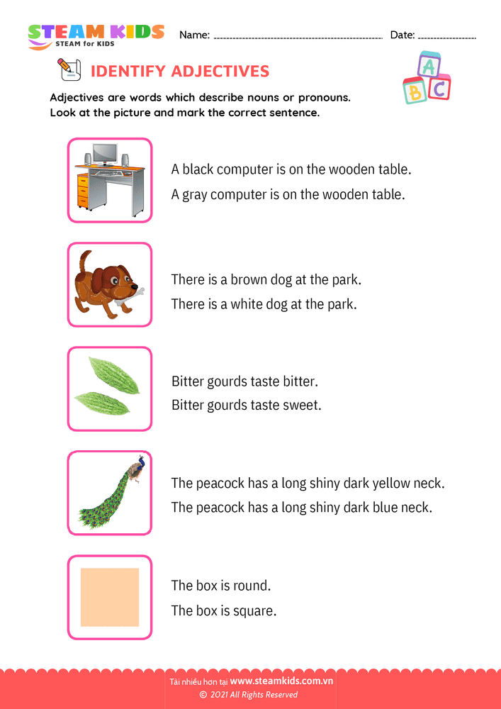 Identify Adjectives - B5 Identify Adjectives Lớp 1