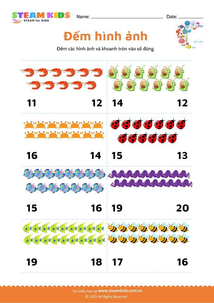 Đếm hình ảnh - B3