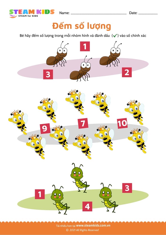 Đếm và tô màu - B2