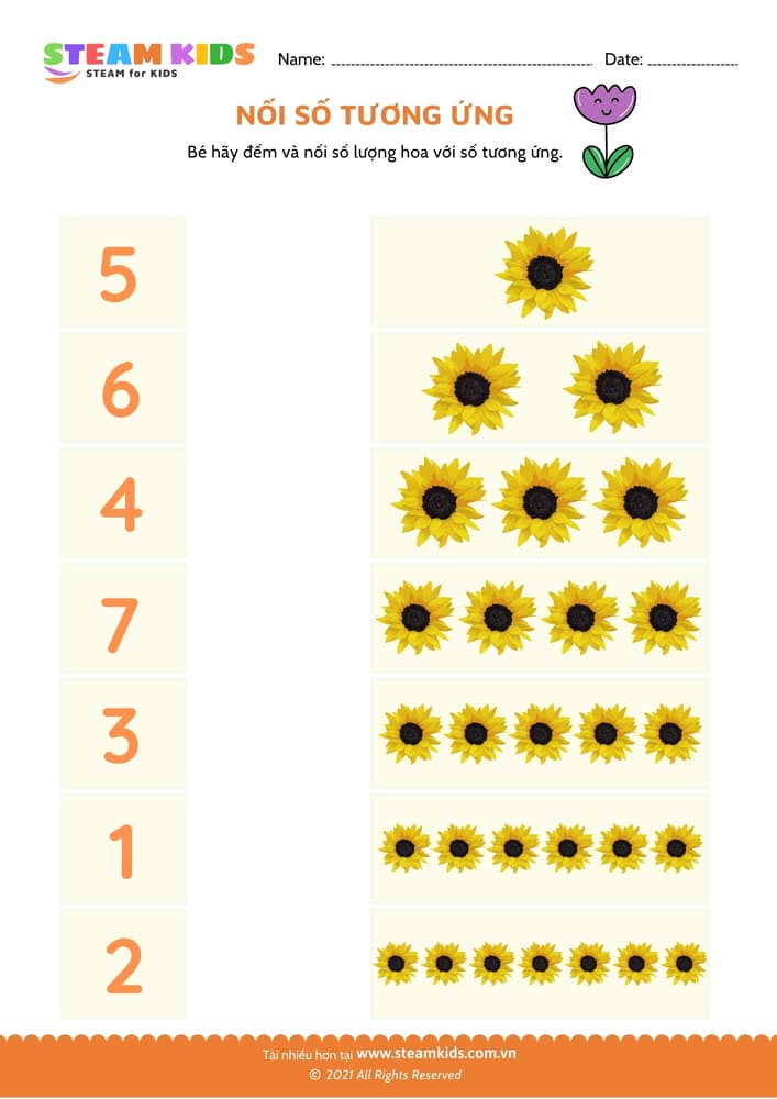 Đếm và tô màu - B2