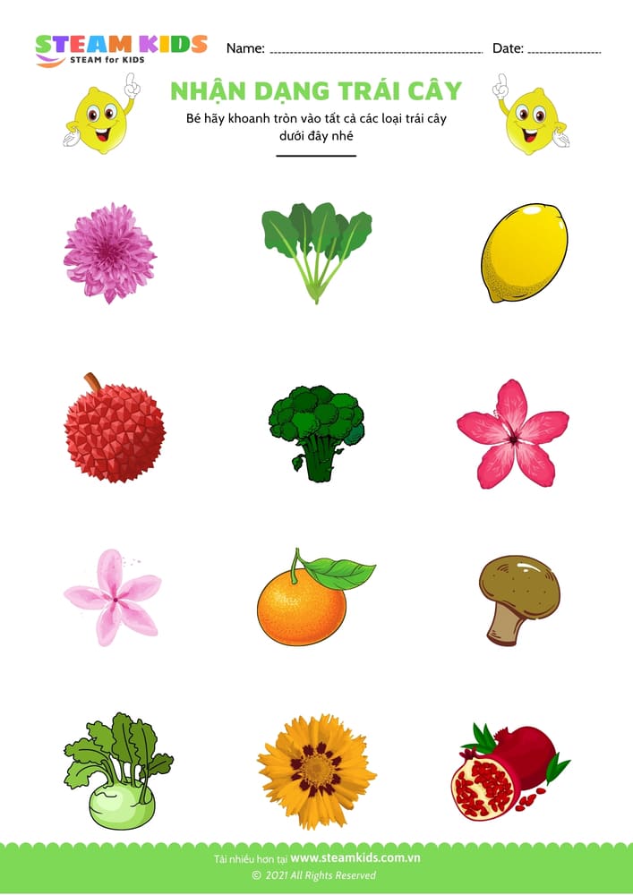 Tìm hình giống nhau - B5