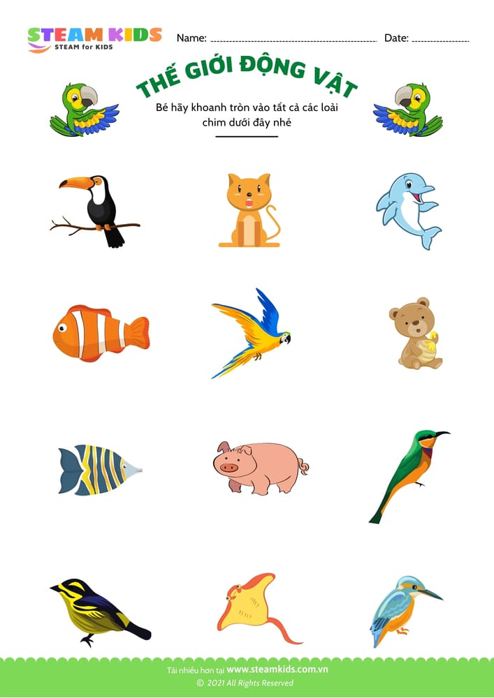 Nhận biết hoa - B2