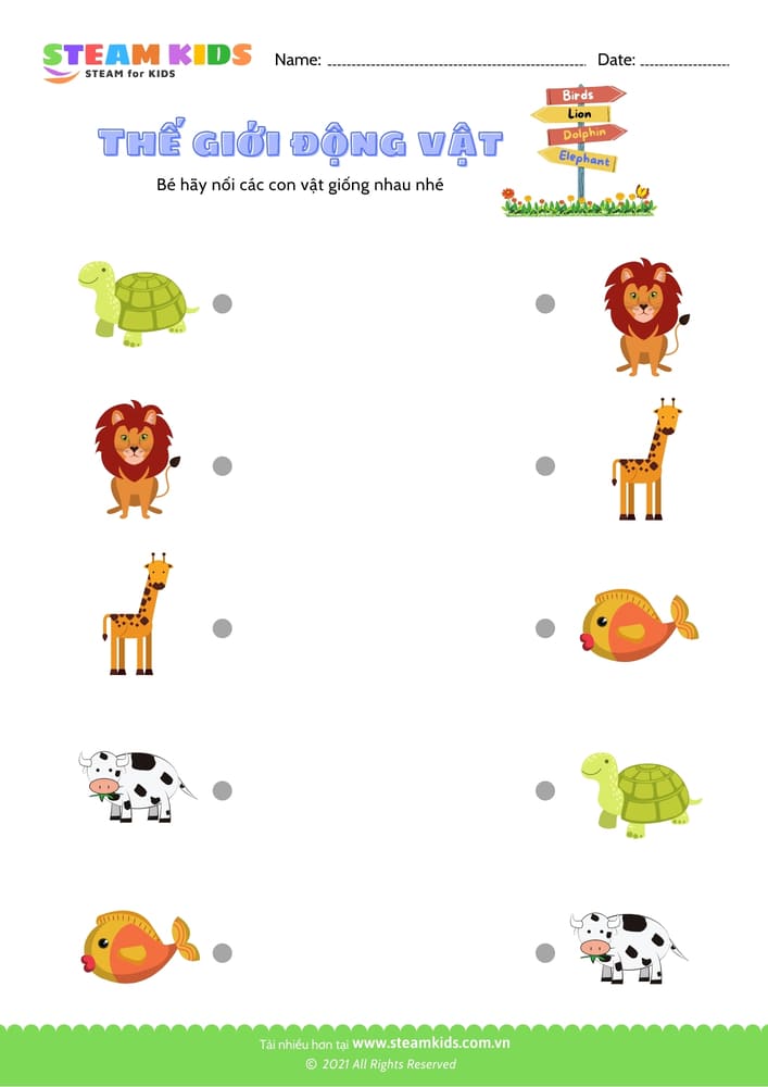 Tô màu Con Bọ ngựa steam kids,steamkids
