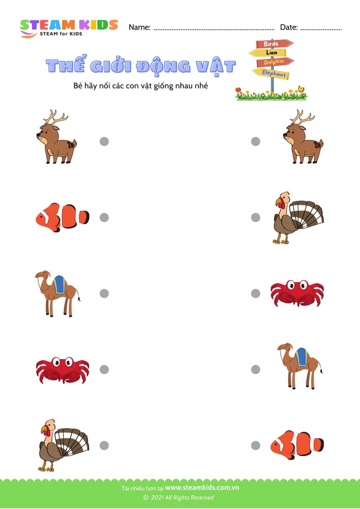 Nhận biết hoa - B2