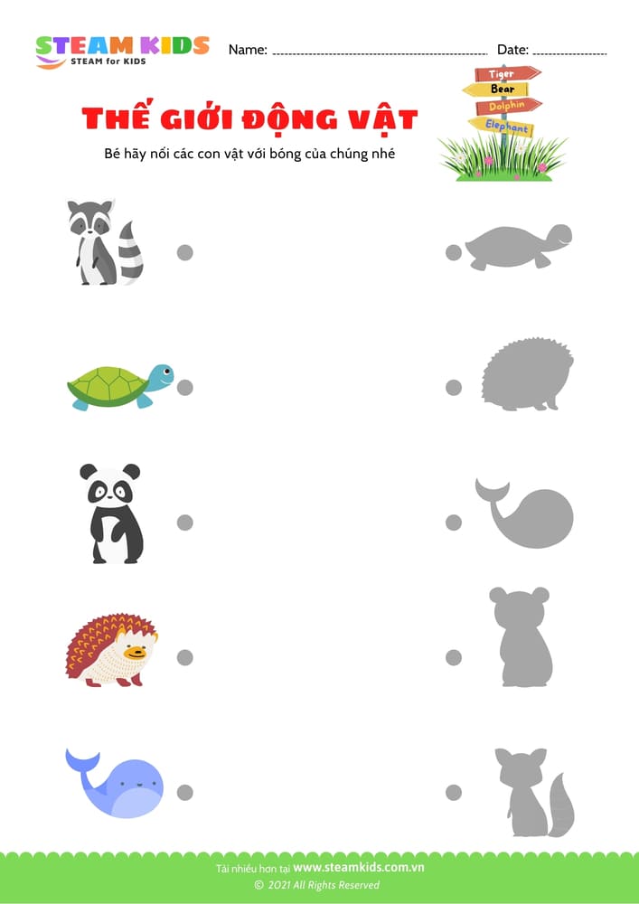 Tô màu Con Bọ ngựa steam kids,steamkids