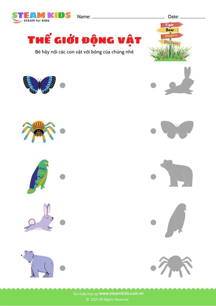 Nhận biết hoa - B2